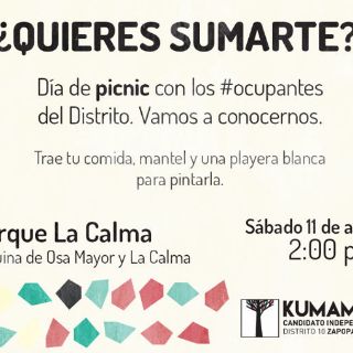 Pedro Kumamoto invita a 'picnic' ciudadano