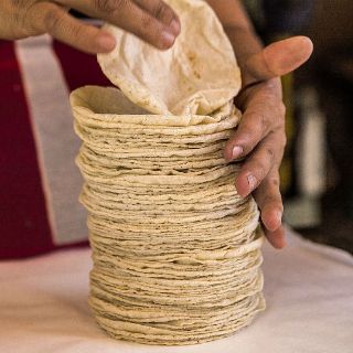Nopal y tortillas aportan minerales esenciales