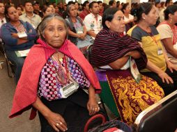 La convocatoria de IS es para Organizaciones de la Sociedad Civil, Instituciones de educación superior y centros de investigación. EL INFORMADOR / ARCHIVO