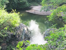 Irresistible. El río Purificación, uno de los tesoros naturales del Estado. EL INFORMADOR / V. García