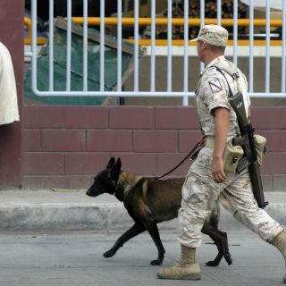 Capturan a capo vinculado con el 'Mayo' Zambada