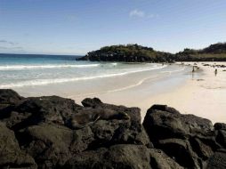 La medida que se tomará para evitar la entrada de este producto no hará que desparezca completamente, sino hasta 2017. EL INFORMADOR / ARCHIVO