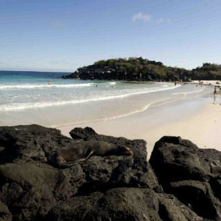 Galápagos prohibirá la entrada de más bolsas plásticas con asa