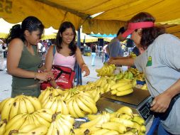 El plátano ayuda significativamente a los estudiantes con su energía y concentración. EL INFORMADOR / ARCHIVO