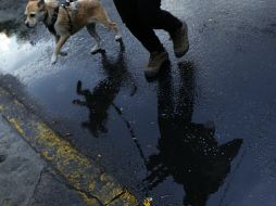 Sobre el Pacífico Centro prevalecerá cielo medio nublado a nublado, 20 por ciento de probabilidad de precipitaciones menores. YOUTUBE / smnmexico