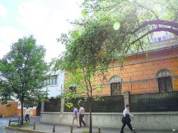 PLAGA MORTAL. Los árboles que se encuentran sobre la Avenida Vallarta son de los más afectados por el muérdago. EL INFORMADOR / P. Franco