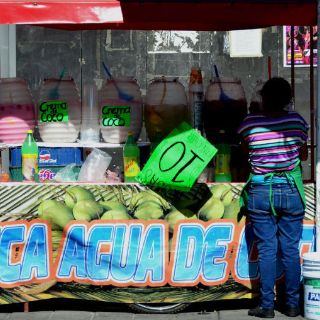 Hasta la mitad de la población tapatía puede tener amibas en verano