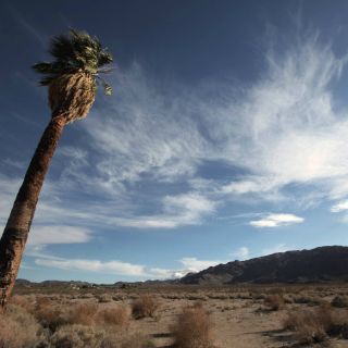 Buscan usar los desiertos para producir electricidad limpia