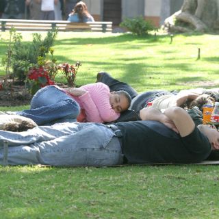 Dormir ocho horas evita las enfermedades crónico degenerativas