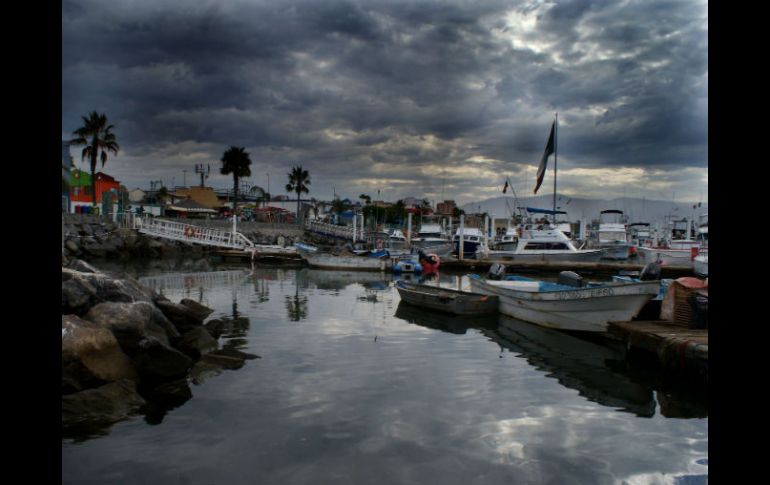Un 'Puerto Verde' es un puerto sustentable en el que la autoridad portuaria y usuarios desarrollan un crecimiento proambiental. EL INFORMADOR / ARCHIVO