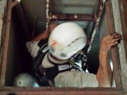 Personal de la Unidad Estatal de Protección Civil acudió al lugar tras el reporte. ESPECIAL / Protección Civil Jalisco