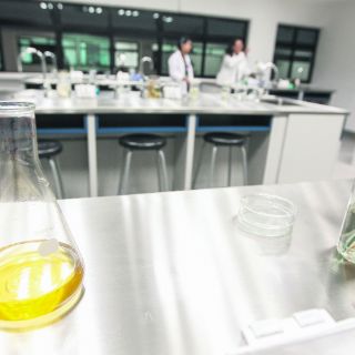 Buscan reducir deserción escolar