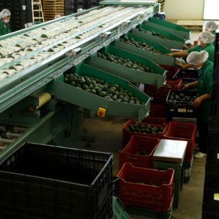 Cancillería difunde decreto de TLC México-Panamá