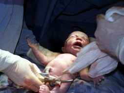 En las UMF del IMSS Jalisco, se practican alrededor de 49 mil pruebas de tamizaje neonatal por año. EL INFORMADOR / ARCHIVO