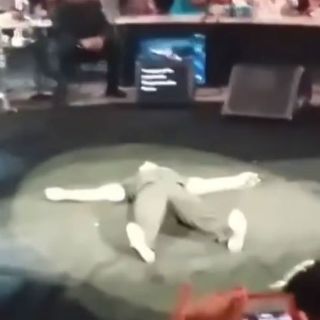 Luis Miguel, al suelo tras palenque