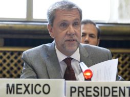 El alto comisionado agradece al embajador de México ante la ONU, Jorge Lomónaco, por la invitación. NTX / ARCHIVO