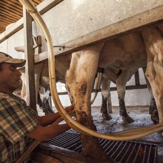 Maiceros y lecheros amagan con más manifestaciones