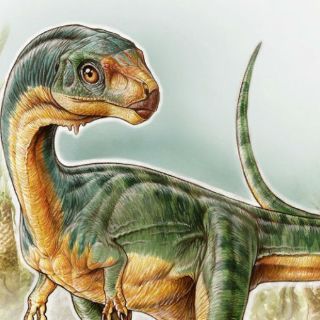 Descubren asombroso dinosaurio herbívoro en Chile