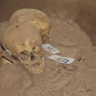 Encuentran cripta con 32 esqueletos y mural en templo del Cuzco