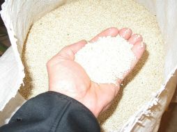 La quinoa es el mejor aliado para bajar de peso, por su gran cantidad de fibra. EL INFORMADOR / ARCHIVO