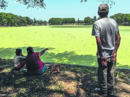 El lago de seis hectáreas que se encuentra dentro de El Deán tiene un color verde que, según las autoridades,es semilla de lirio. EL INFORMADOR / F. Atilano