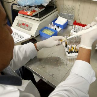 Europa avala excluir a homosexuales de donación de sangre