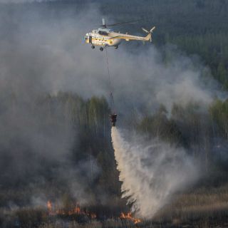 Controlado, incendio forestal cercano a planta nuclear de Chernobil