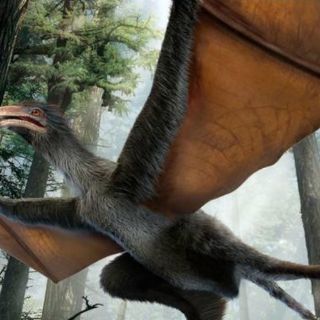 Descubren un minidinosaurio con alas de murciélago