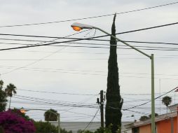 Ocho de cada 100 luminarias instaladas en la ZMG están inservibles. EL INFORMADOR / M. Vargas