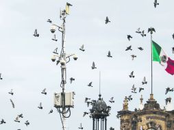 Las 150 cámaras con las que cuenta el Ayuntamiento se concentran en las zonas de alta incidencia delictiva como el Centro. EL INFORMADOR / F. Atilano