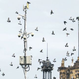 Videovigilancia en tiempo real fortalece seguridad