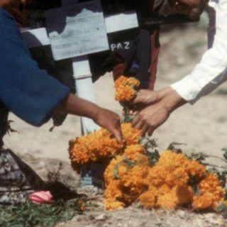 La PGR deberá informar sobre inhumaciones clandestinas en Veracruz