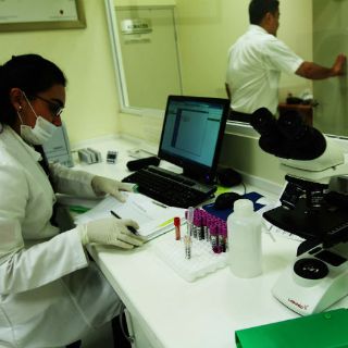 Universitarios de NL desarrollan productos a base de leche pura