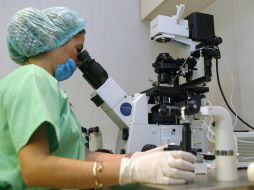Entre las técnicas se encuentran la inseminación en vitro y la manipulación microquirúrgica de embriones o gametos, entre otras. EL INFORMADOR / ARCHIVO