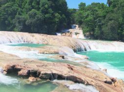 Sin aliento. Las Cascadas de Agua Azul son una de las principales atracciones turísticas de Chiapas. ESPECIAL / Wikimedia
