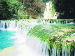Tesoro. La sierra Huasteca es uno de los lugares con mayor riqueza natural del país. ESPECIAL / Hotel Sierra Huasteca Inn