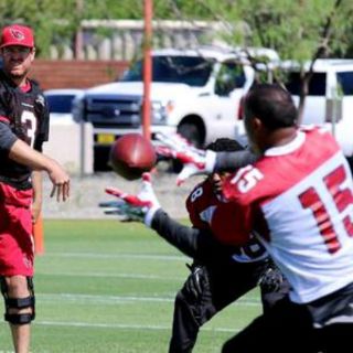 Carson Palmer vuelve a las prácticas