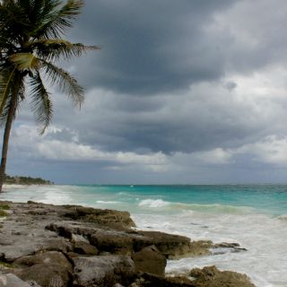 Mancera asistirá al Foro Económico Mundial