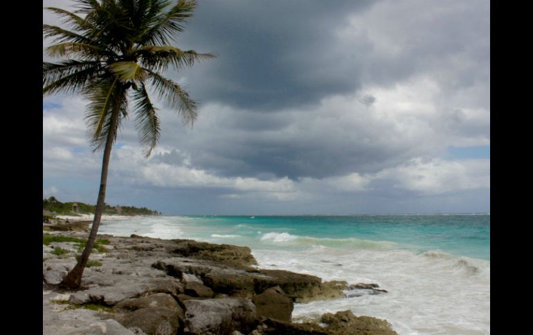 El Foro Económico Mundial se llevará a cabo del 6 al 8 de mayo en la Riviera Maya, Quintana Roo. NTX / ARCHIVO
