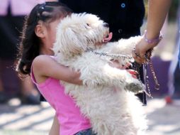 Estadísticamente cerca de cuatro de cada cinco familias con hijos en edad escolar tienen una mascota. NTX / ARCHIVO