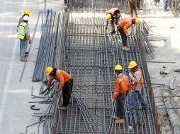 La expansión del empleo está encabezada por el sector de servicios profesionales y negocios, seguido por el de salud y de construcción. EL INFORMADOR / ARCHIVO