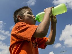 Se aconseja beber dos litros de agua al día y llevar una dieta balanceada. EL INFORMADOR / ARCHIVO