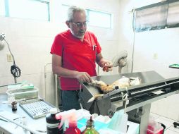 En la ZMGhay una mayor cultura para reducir la sobrepoblación de mascotas. EL INFORMADOR / E. Barrera