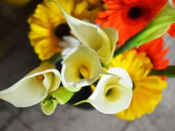 En un solo día, los galos compraron más de dos millones de ramos de flores según las estadísticas. EL INFORMADOR / ARCHIVO