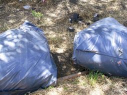 Hasta el lugar llegaron elementos de la Policía Federal, efectivos del Ejército y de la SSPDF. EL INFORMADOR / ARCHIVO