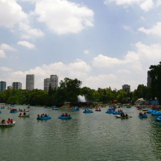 Roban nómina de empleados del Bosque de Chapultepec