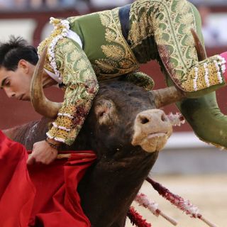 Fuerte percance en la Feria de San Isidro