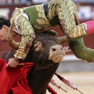 Jiménez Fortes sufre cornada; evoluciona favorablemente