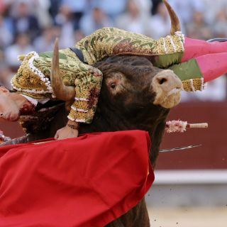 Torero recuerda cornada en el cuello; desea volver al ruedo