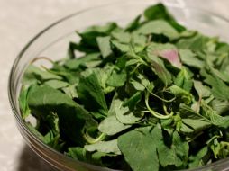 El proyecto busca conservar los quelites durante todo el año, para que sean utilizados en la gastronomía mexicana. ESPECIAL / ucsj.edu.mx